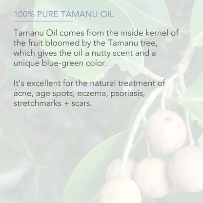 Cold Pressed Tamanu Oil, 4 Fl Oz - Calms Irritated Skin - Moisturises Dry Scaly Skin - by
